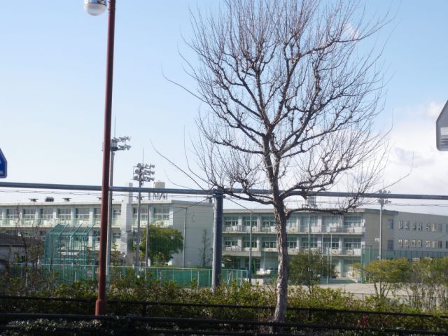 Junior high school. Municipal dragon until junior high school (junior high school) 590m