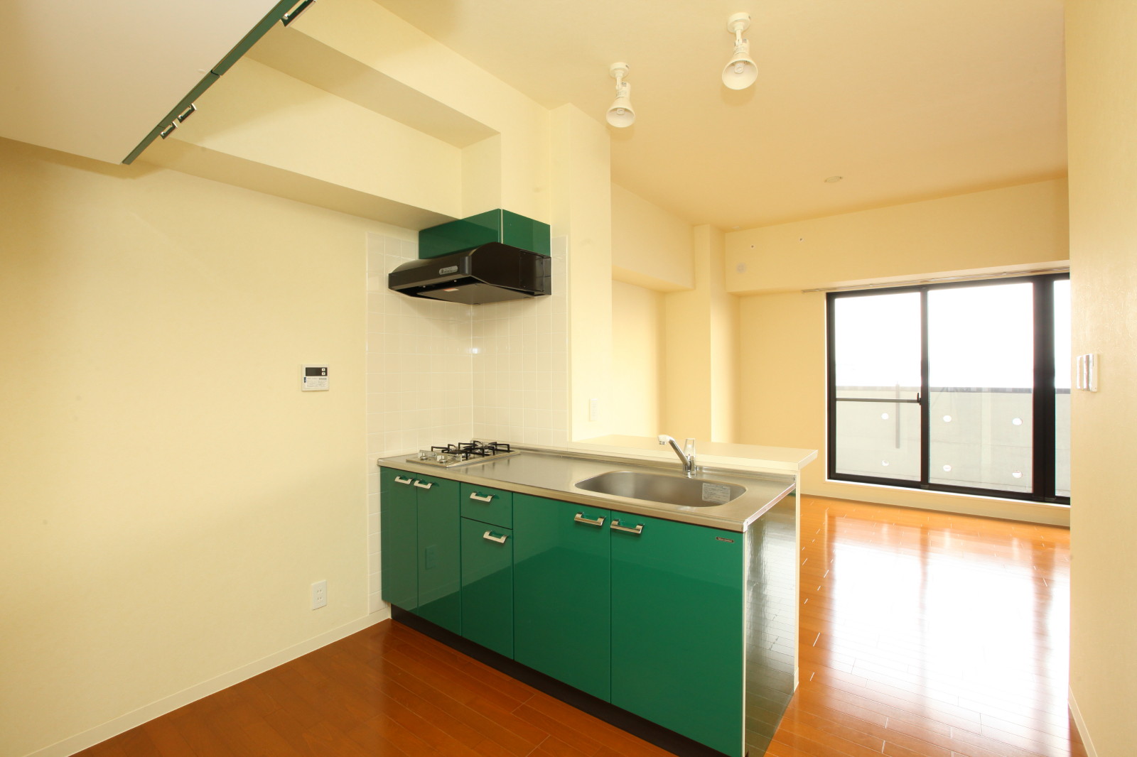 Living and room. Face-to-face system Kitchen. Cupboard hanging on the back.