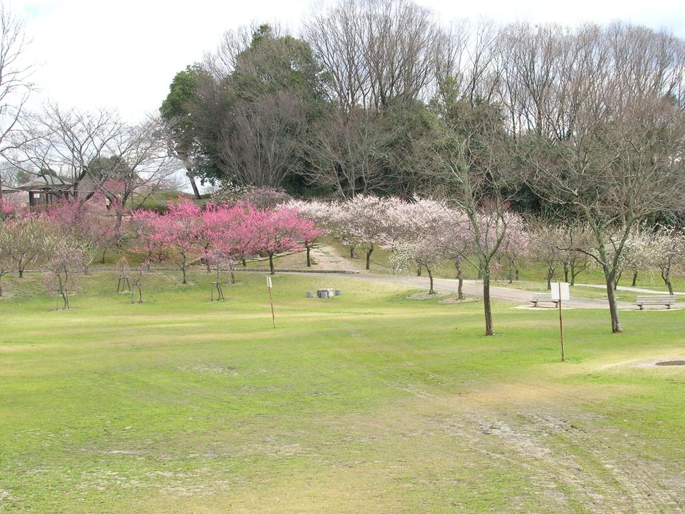 park. Until the flat Shiba Park 888m