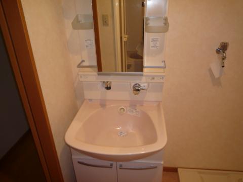 Washroom. Bathroom Vanity