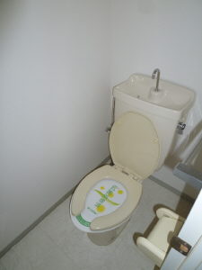 Toilet