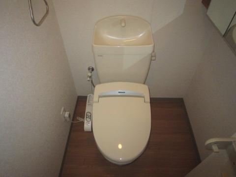 Toilet. Toilet with shower