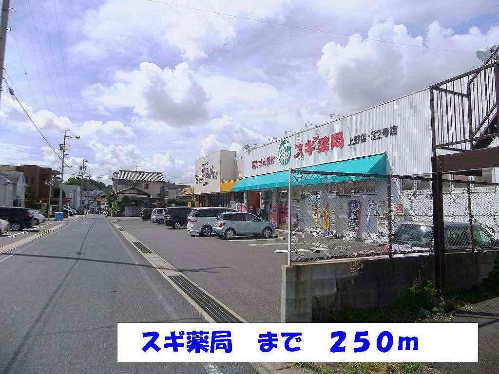 Dorakkusutoa. 250m until cedar pharmacy (drugstore)