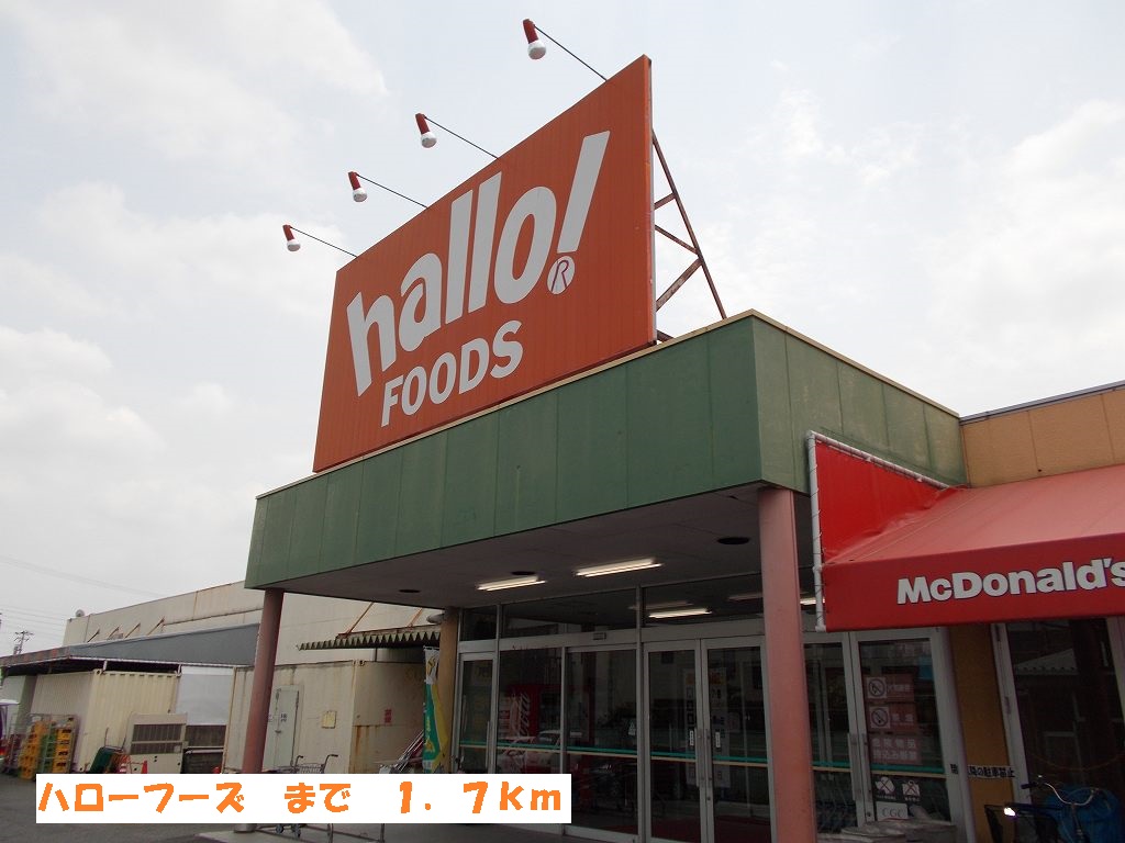 Supermarket. 1700m until the halo Foods (super)