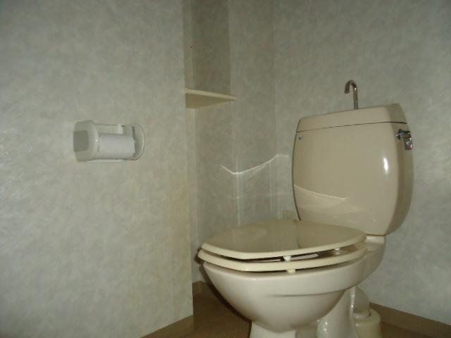 Toilet. Please refer to the toilet of the spread of storage shelves with.