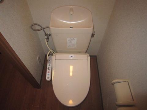 Toilet. Toilet with shower