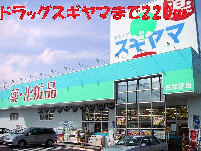 Dorakkusutoa. Drag Sugiyama until (drugstore) 220m