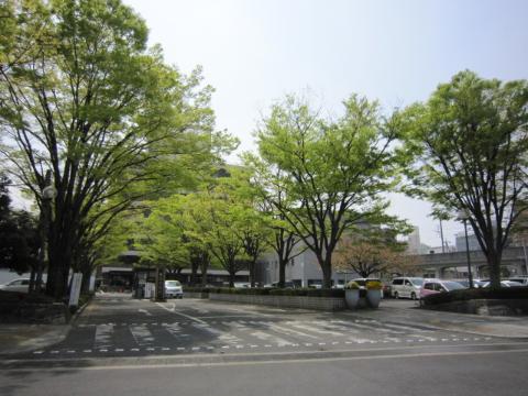 Other. 944m to Toyota City Hall (Other)