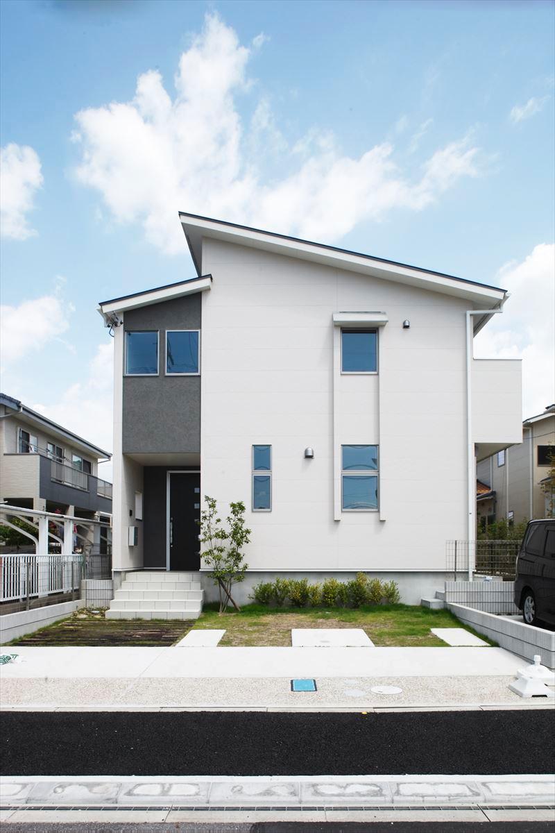 Local appearance photo. D Togaikan 2013 / 8 / 2 shooting