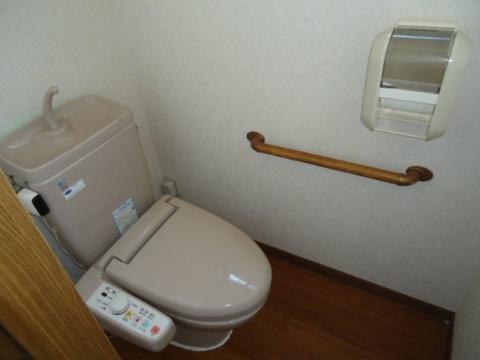 Toilet. Toilet with shower