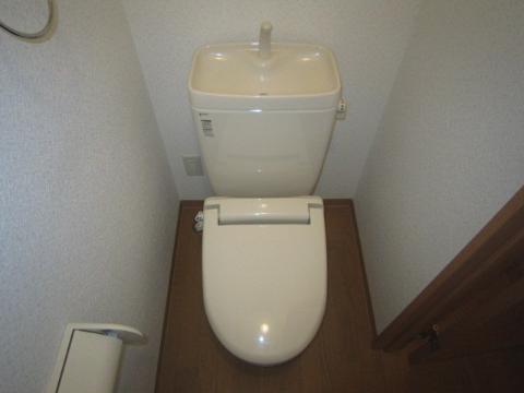 Toilet. WC