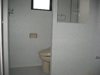 Toilet. Bathroom with a shower with a sense of openness