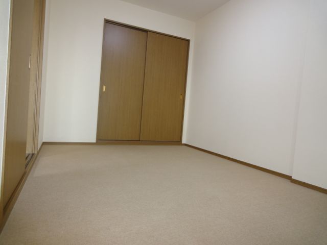 Living and room. With a closet in the carpeted