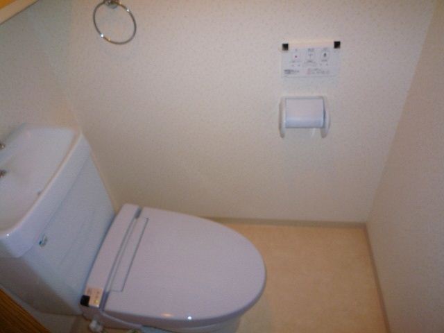 Toilet. A clean bathroom