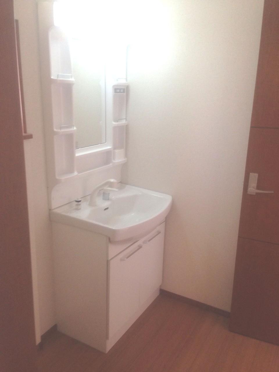 Wash basin, toilet. Vanity with shower