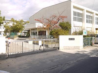 Primary school. Tsushima Municipal Kamori to elementary school 366m