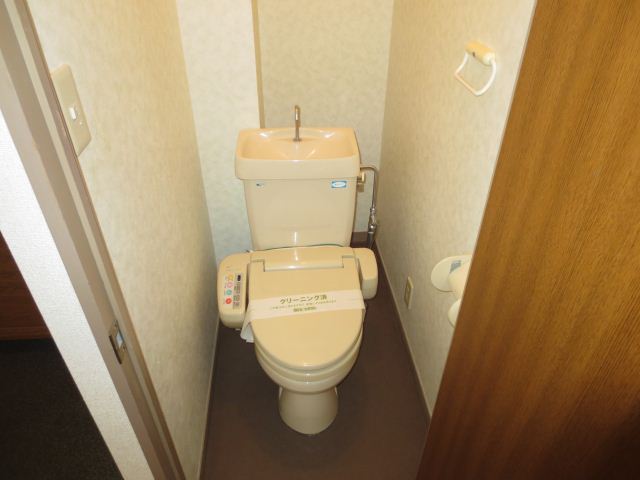 Toilet. Clean and simple bathroom