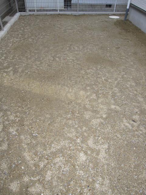 Garden. Local (12 May 2013) Shooting