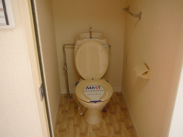 Toilet. Clean Torre