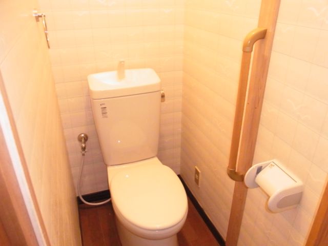 Toilet. Western-style toilet