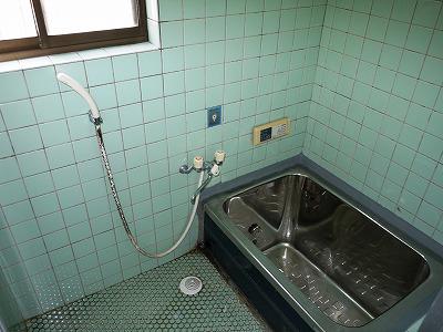 Bathroom. Shower hot water supply.