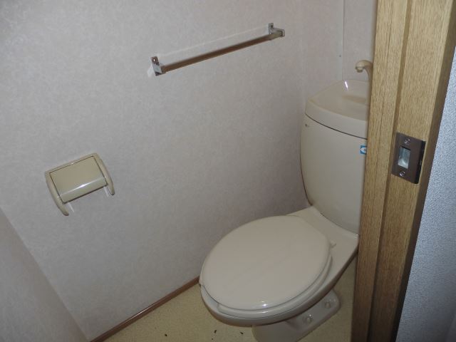 Toilet. Western-style toilet