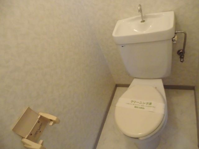 Toilet. Western-style toilet