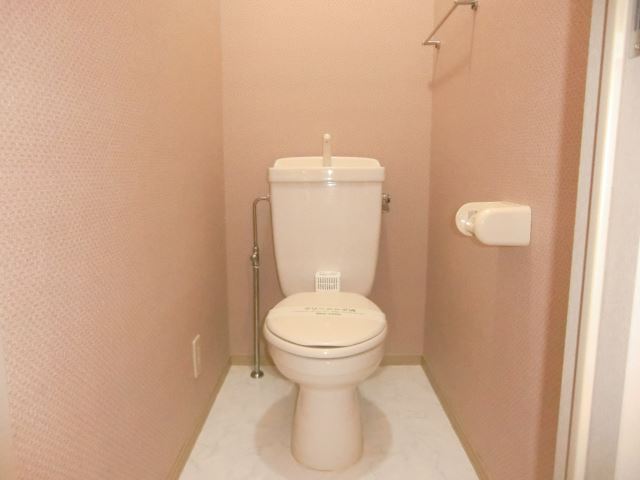 Toilet. Western-style toilet