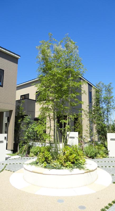 Other local. Symbol tree watch the growth of the children. 