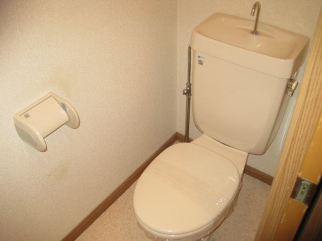 Toilet. It is calm normal toilet