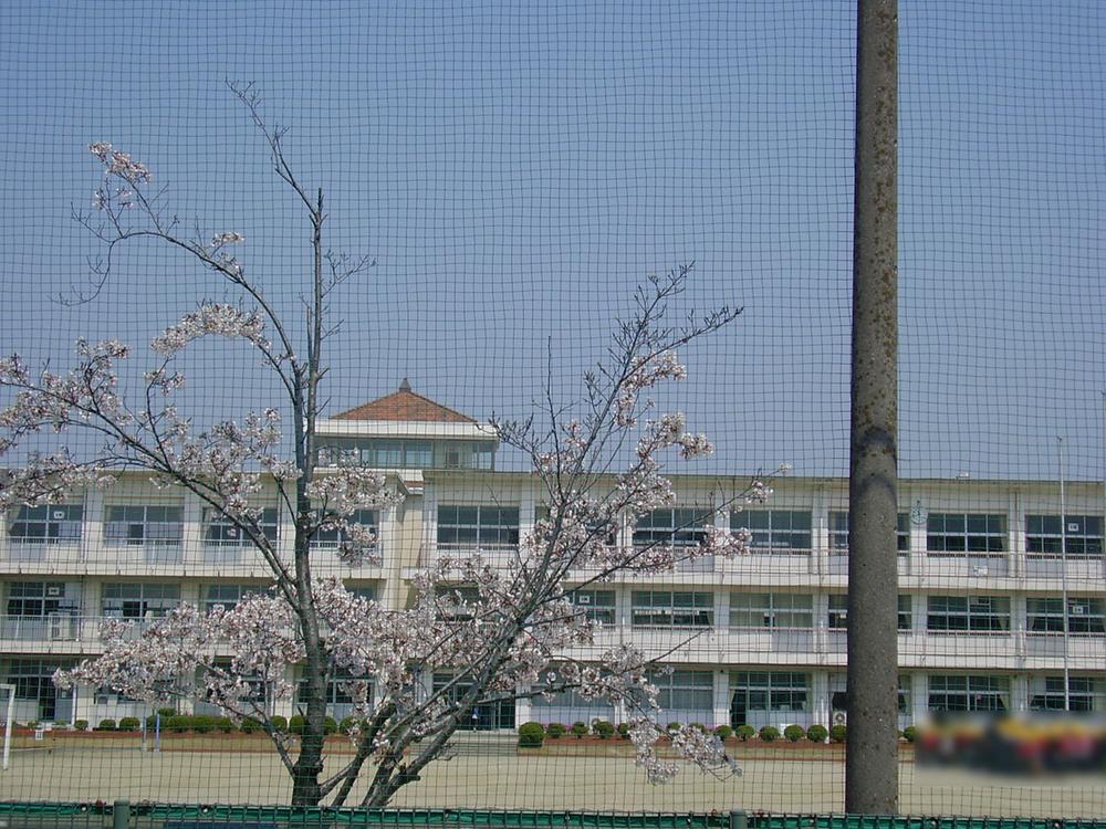 Primary school. 542m until Sakura elementary school
