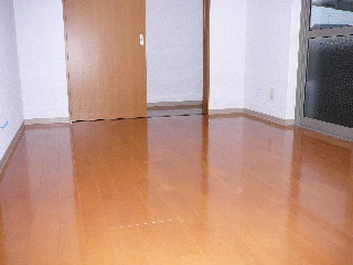 Living and room. Floor flooring