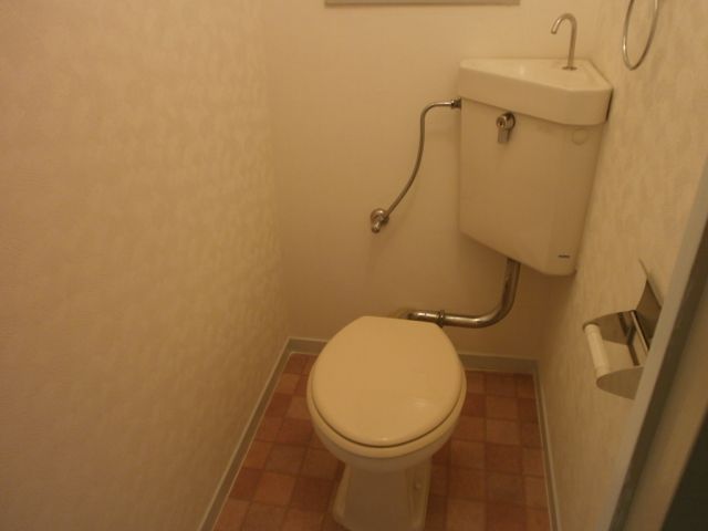 Toilet. Western-style toilet