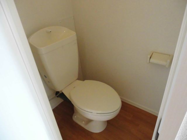 Toilet. Western-style toilet