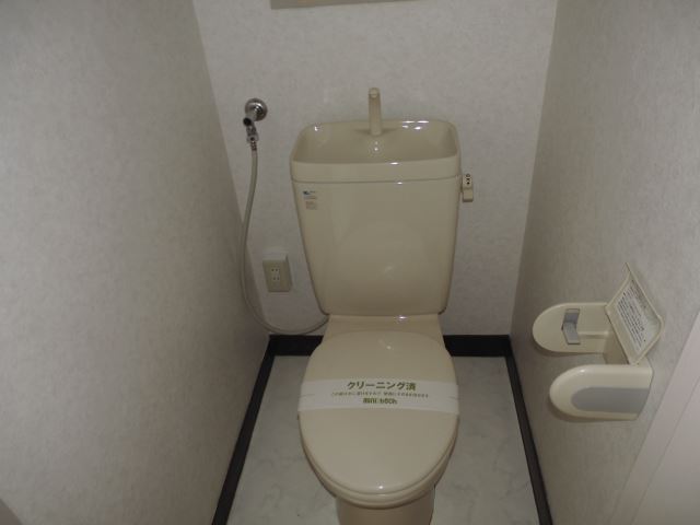 Toilet. Western-style toilet