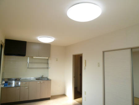 Living and room. LDK lighting with 2 groups