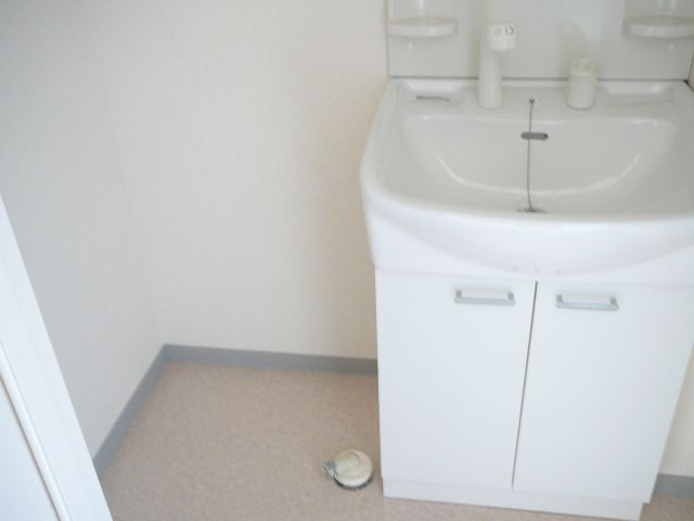 Washroom. Shampoo dresser, Indoor Laundry Storage