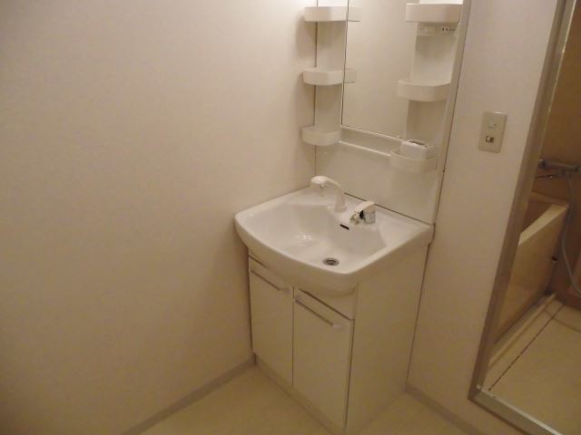 Washroom. Popular shampoo dresser