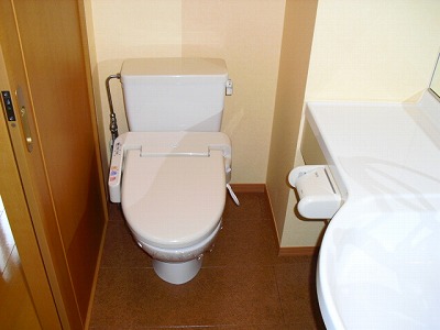 Toilet. Image will be 201. Please refer