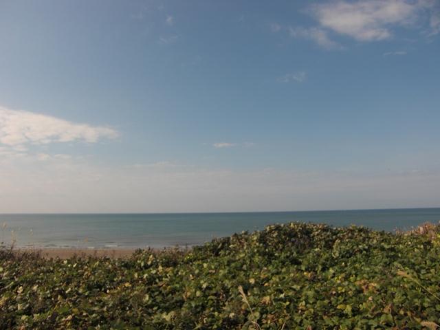 Local land photo. Ocean View