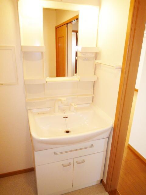 Washroom. Shampoo dresser! 