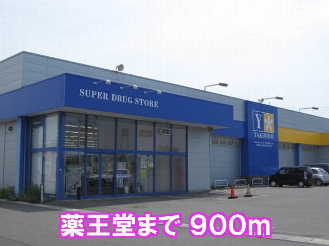 Dorakkusutoa. KusuriOdo Omagari Iida shop 900m until (drugstore)