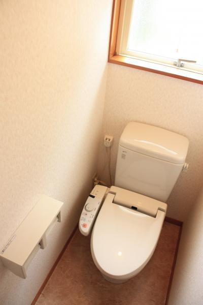 Toilet. Comfortable toilet with Washlet