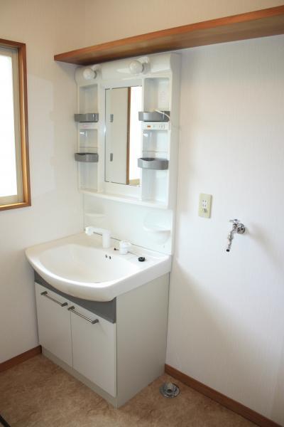 Wash basin, toilet. Bright vanity. There is also space for a washing machine. 