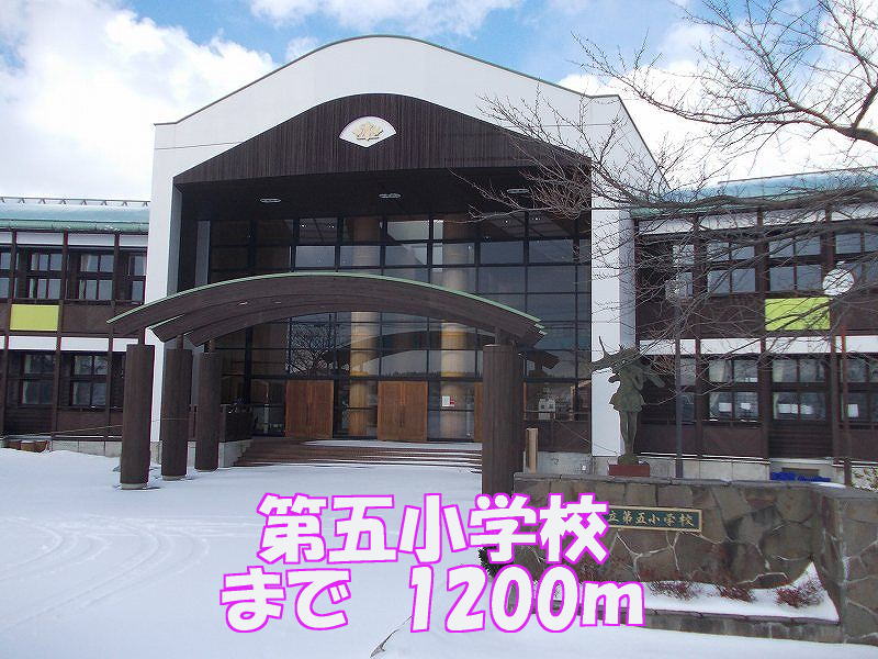 Primary school. Fifth to elementary school (elementary school) 1200m