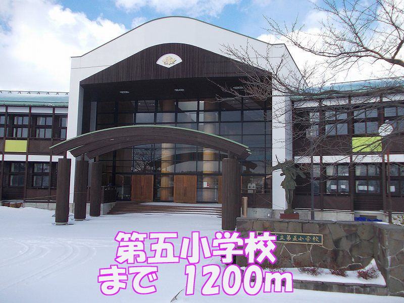 Primary school. Fifth to elementary school (elementary school) 1200m