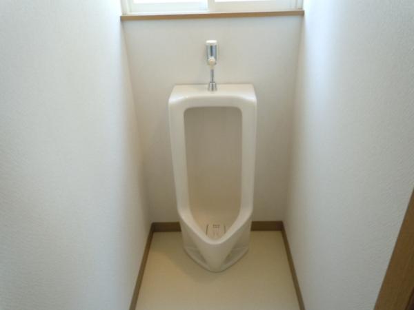 Toilet. There is also a small toilet bowl