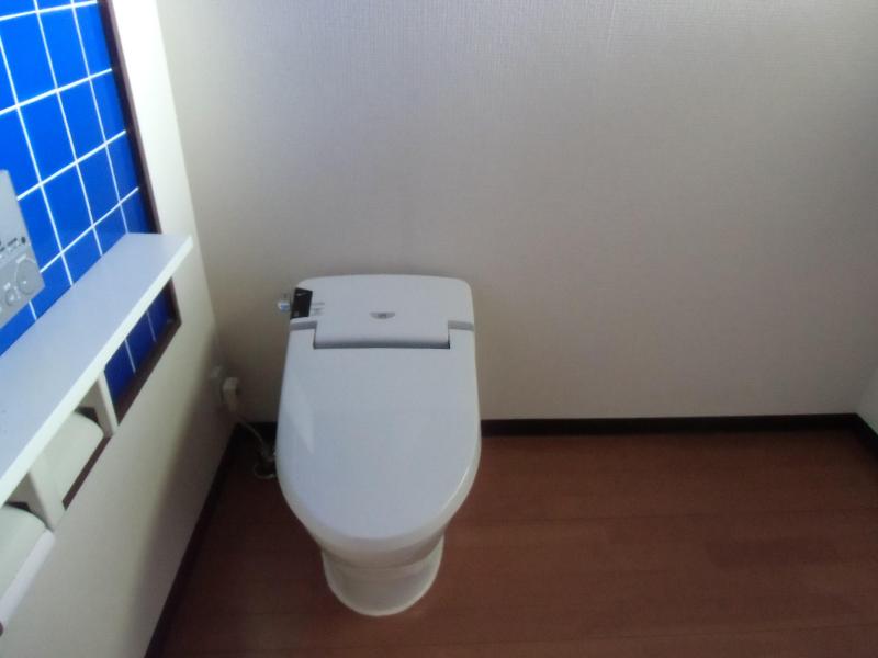Toilet. Wide toilet! 