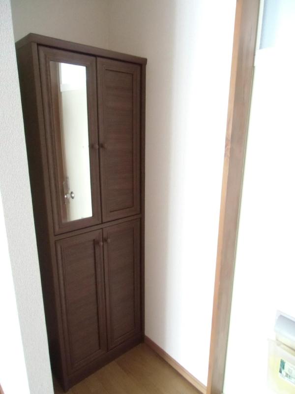 Entrance. Entrance storage with a mirror