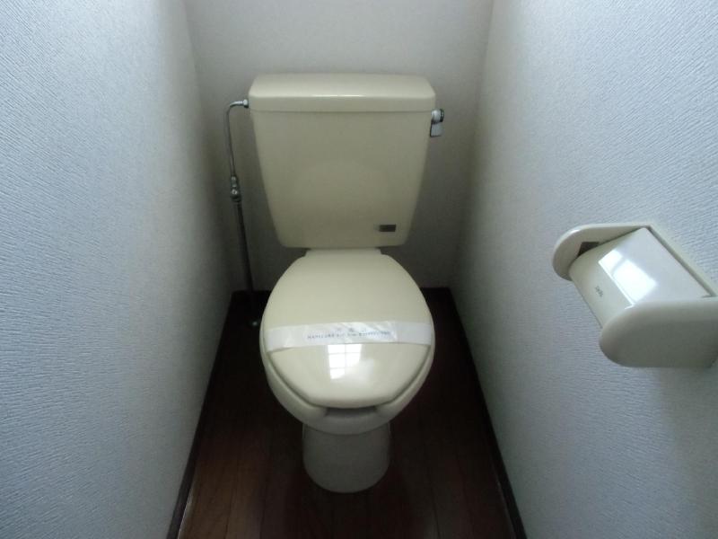 Toilet. Bright toilet! 